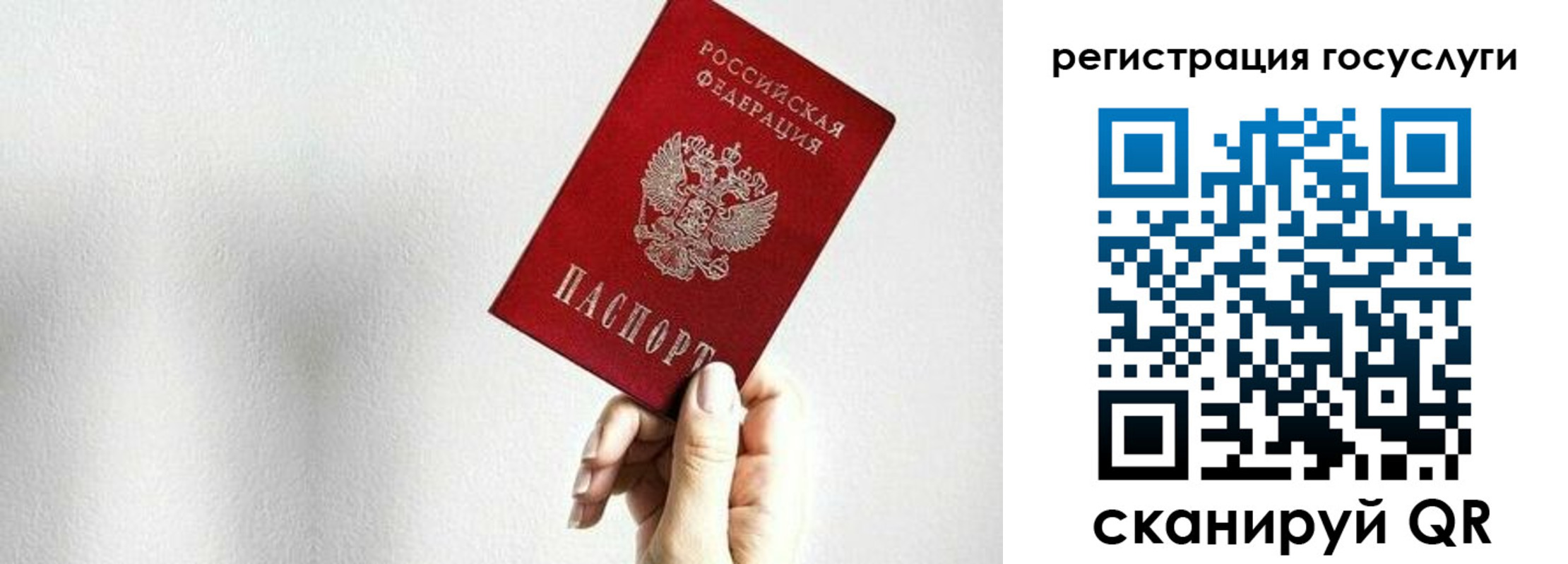 прописка гарантия в Марий Эл